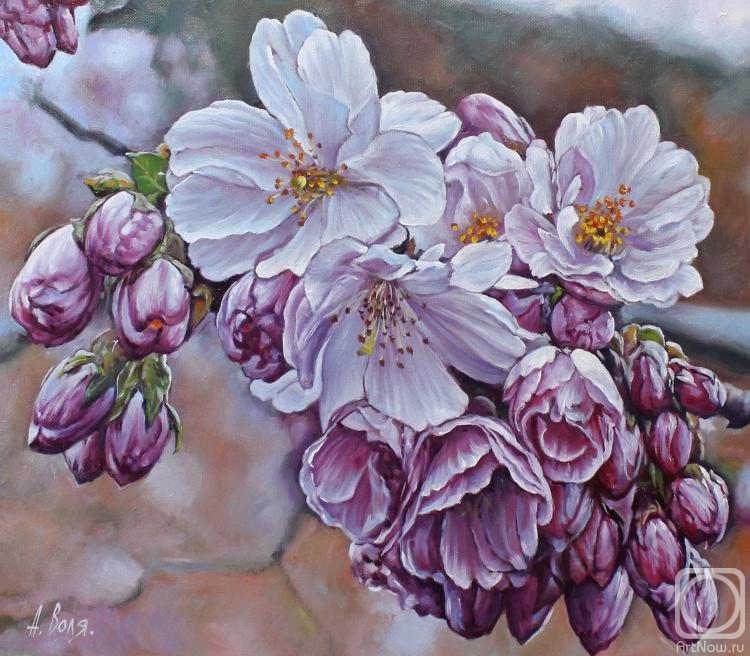 ������� ������ �� ������. ���� ���������. �������� ��������