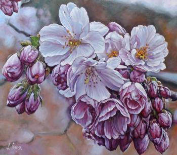 Spring Flowering. Volya Alexander