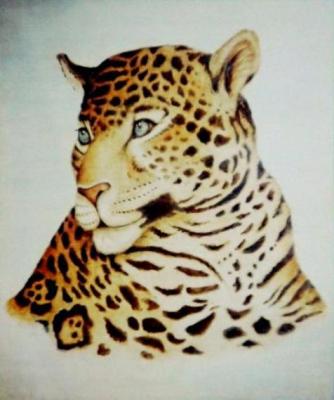Leopard. Starovoitov Vladimir