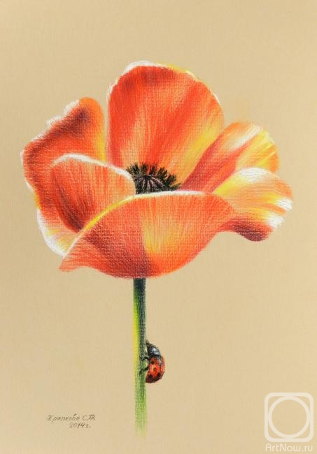 �������. �������� ��������. ���