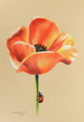 ������� ����