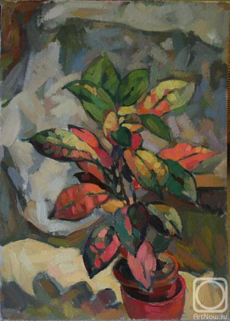 �������. �������� ������. ����� �����