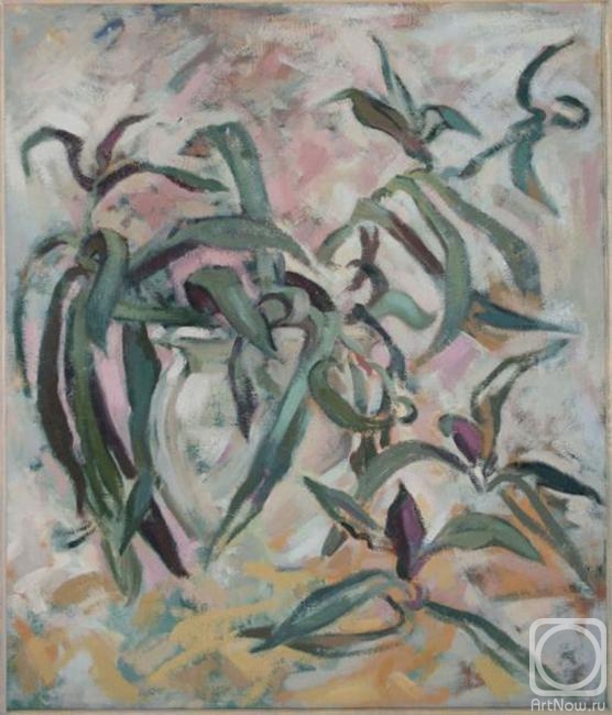 Kreynina Marina. Tradescantia