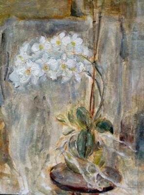 ������� ����������. ����� ������