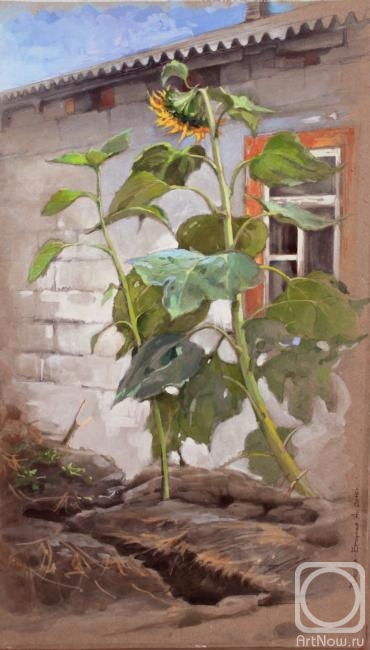 Rybina-Egorova Alena. Sunflower