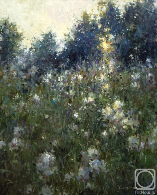 ������� ������ �� ������. �������� �������. ���� �����