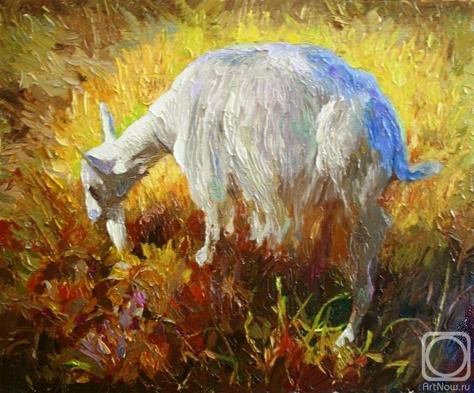 ������� ������ �� ������. ������ ������. ����