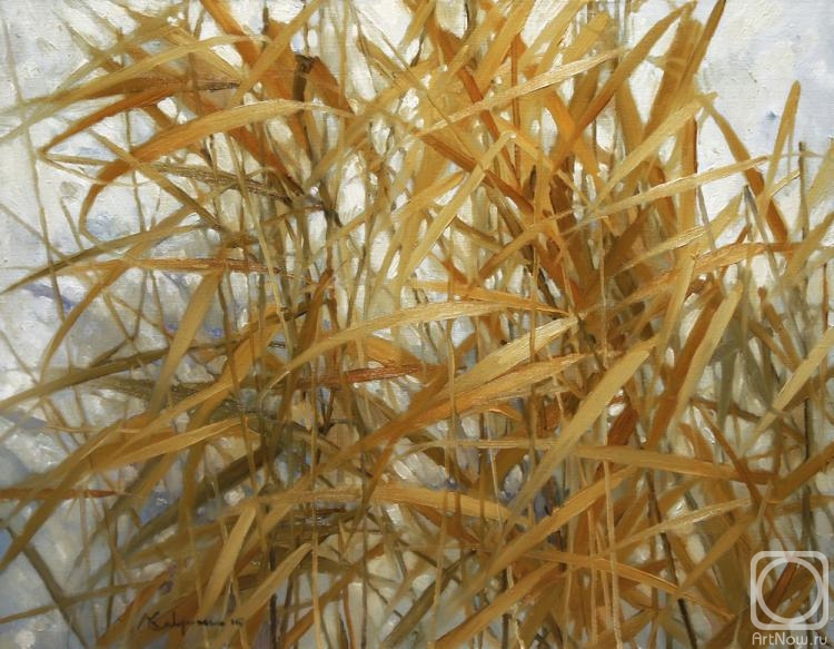 ������� ������ �� ������. �������� �������. ������ �����