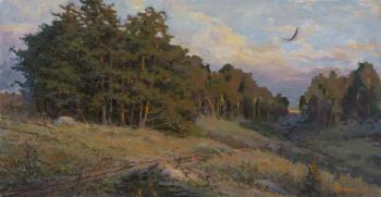 Evening in the pine grove. Zhilov Andrey