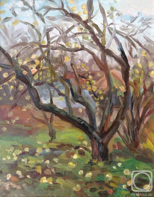 ������� ������ �� ������. ����� ����. ������ � ������