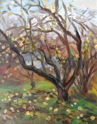 ������� ������� � ������