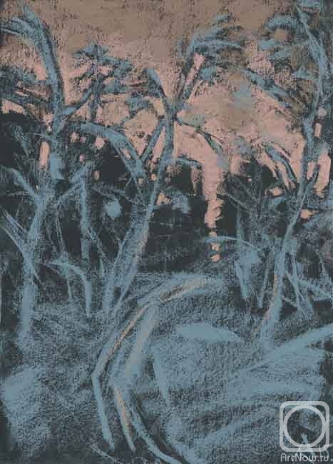 Knecht Aleksander. Untitled