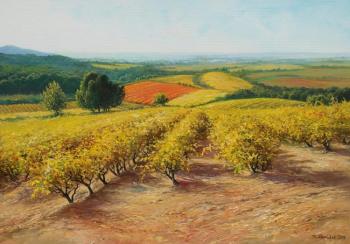 Vineyards. Provence (Landscapes Of France). Zhaldak Edward