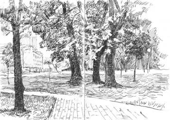 Trees in the park. Korhov Yuriy