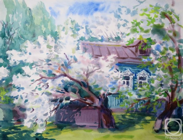 Mikhalskaya Katya. The apple tree is blooming