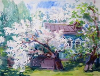 The apple tree is blooming. Mikhalskaya Katya