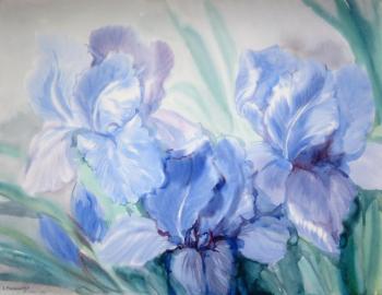 ������� ������� ����