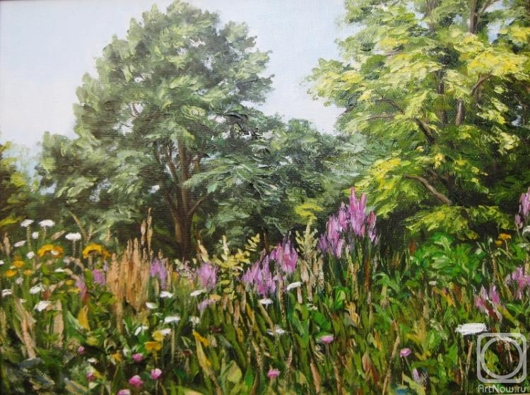 Neroznik Anna. Untitled