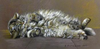 ��������. �������� �����