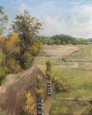 ������� ���������. ������� �����