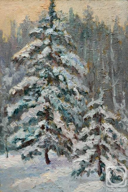 Popov Sergey. Christmas trees