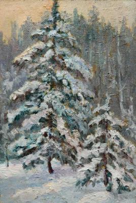 Christmas trees. Popov Sergey