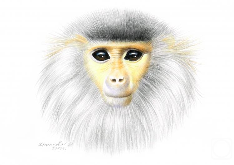 �������. �������� ��������. ��������� ��������