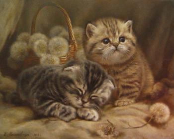 ������� �����������