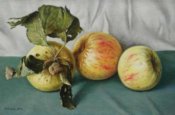 �������. ������ ������