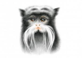 ������� �������������� ��������