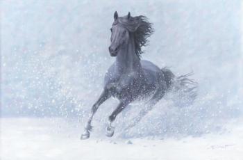 Horse OnThe Snow. Urazayev Mirat