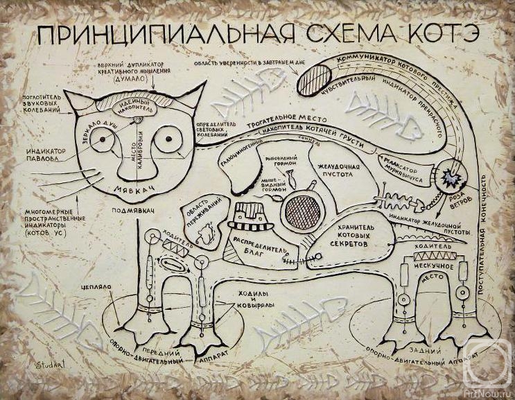 Stydenikin Yury. Scheme of kote
