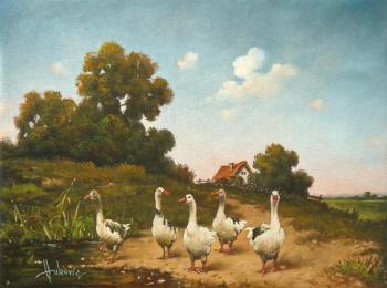 geese. Vukovic Dusan