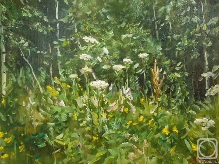 ������� ������ �� ������. ������� ������. ��������� ���������