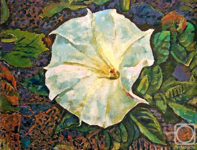 ������� ������ �� ������. ������ ������. ��������