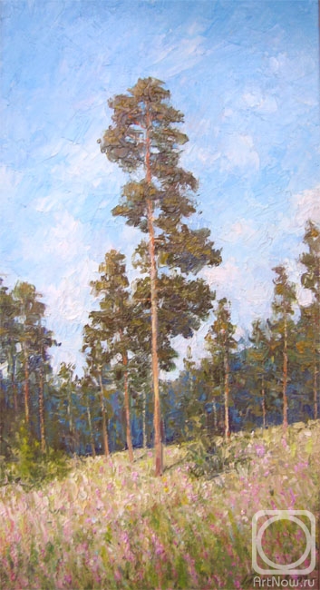 Gaiderov Michail. Pine trees on the slope