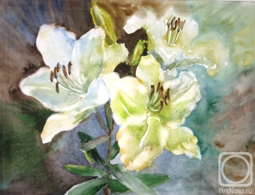 �������. ��������� ��������. ����� �����