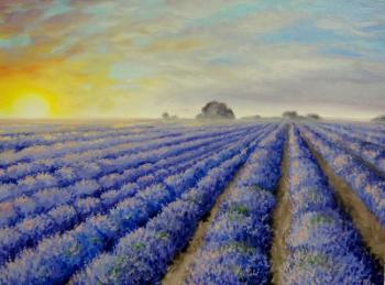 ��� ��������. ������ ����