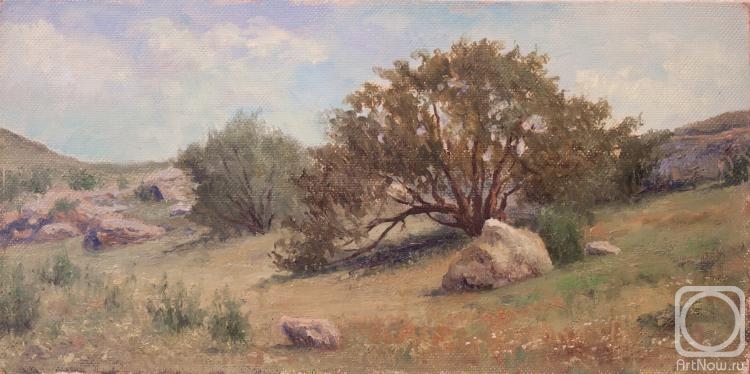 �������. ������� ��������. ������ ���������