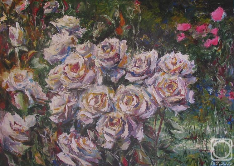 Kruglova Svetlana. Roses white in the garden
