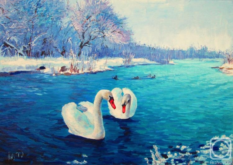 Pautov Igor. Swans