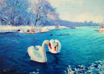 Swans. Pautov Igor