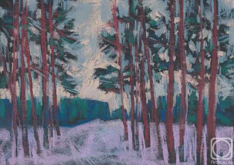 Knecht Aleksander. Untitled