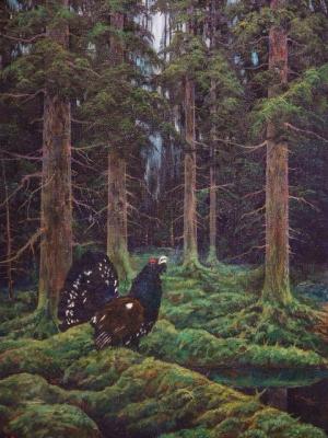 ������� ���������