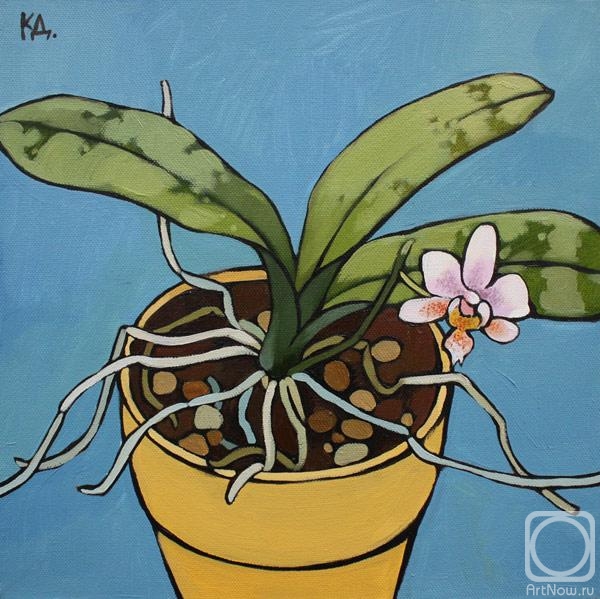 ������� ������ �� ������. ��������� ����. �������