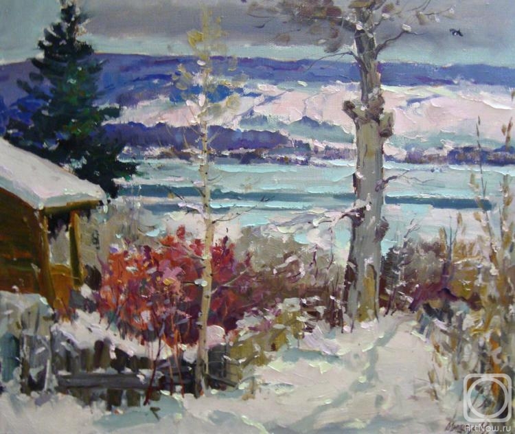 Mishagin Andrey. In January a lot of snow in the yard