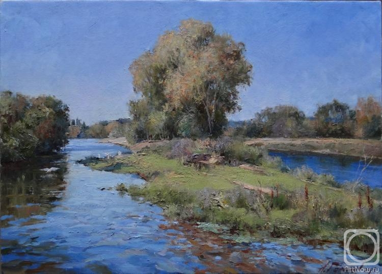 Galimov Azat. In the Loire Valley. River Cher