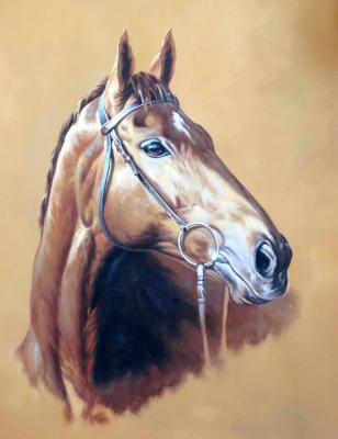 Bruno Tina Augusto. Horse