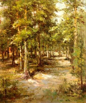 Forest (). Minaev Sergey