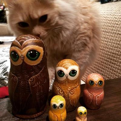 � ��� ����� �� ���������?